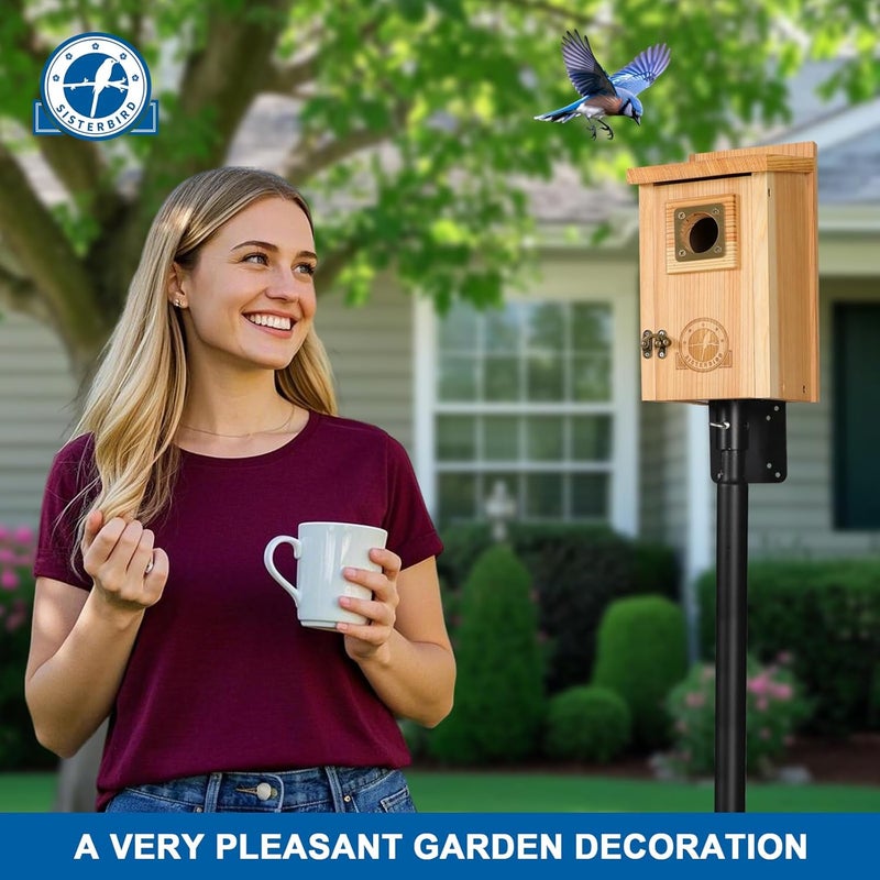 SISTERBIRD Bird Houses for Outside Clearance with Copper Guard, Cedar Bird House Outdoor, Bluebird Finch Swallow Wren Chickadee - Image 4